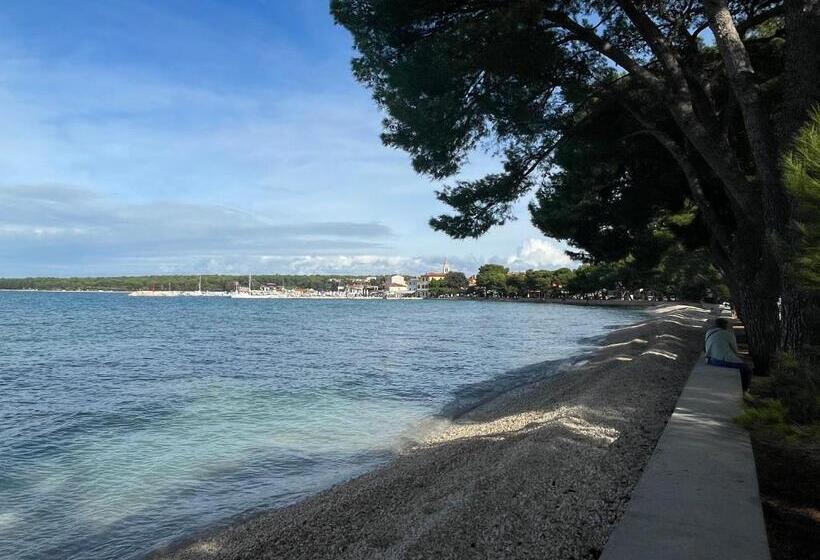 דירת שלושה חדרים, Bb Ld