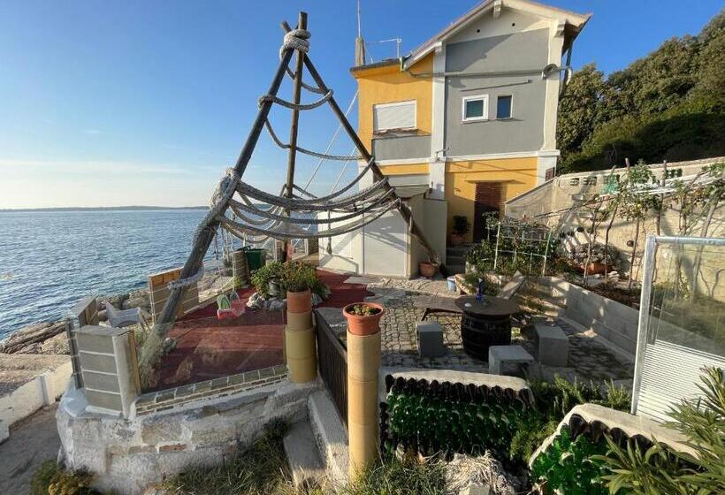 ファミリールーム, Bb Ld