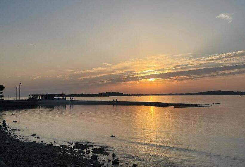 １階の１ベッドルームアパートメント, Bb Ld