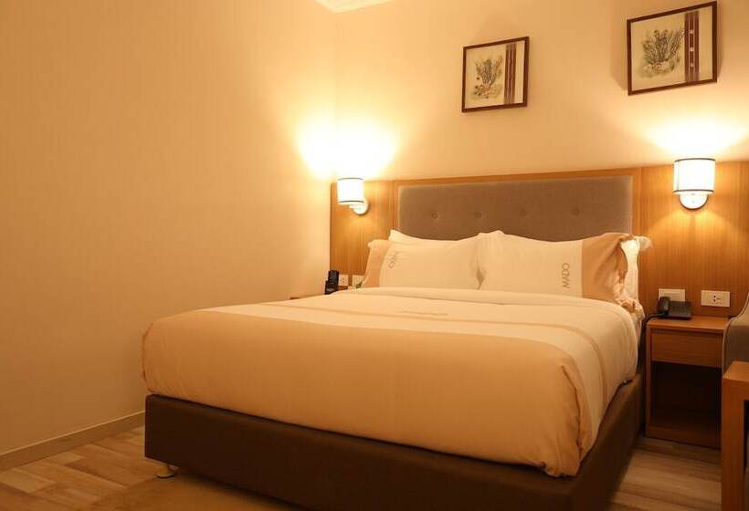 اتاق استاندارد یک نفره, Mado