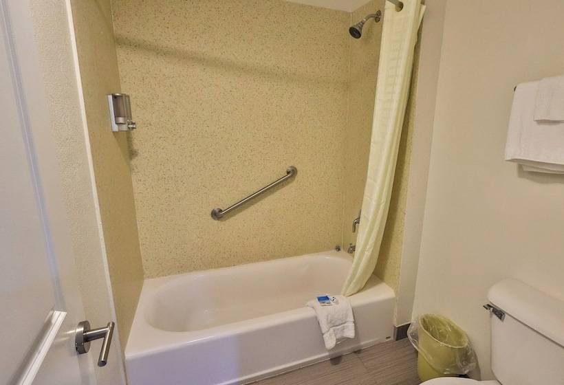 غرفه قياسيه سريرين مزدوجين, Driftwood Beach Motel