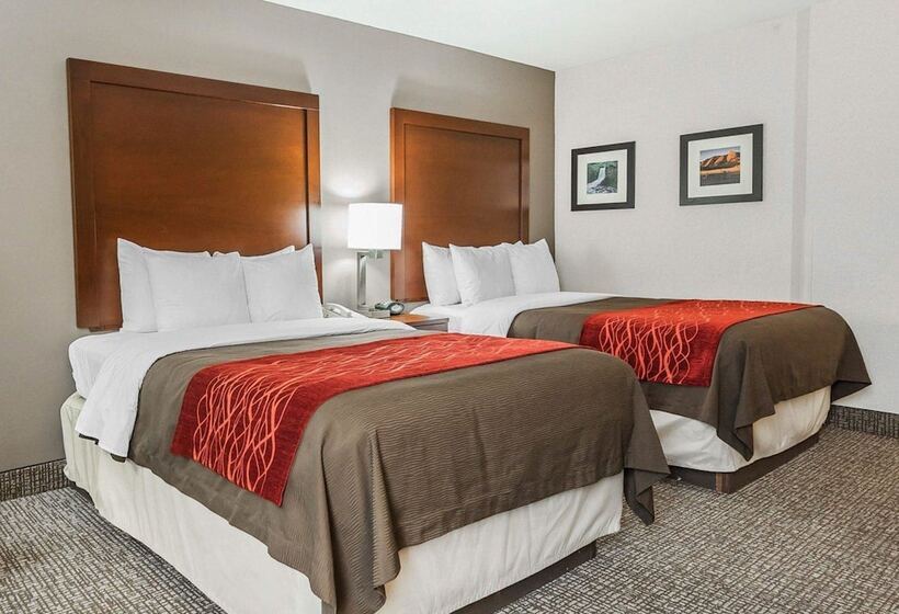 חדר סטנדרט שתי מיטות זוגיות, Comfort Inn Denver East