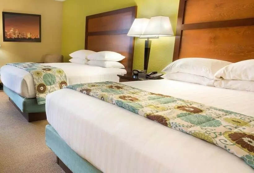 デラックスルーム, Drury Inn & Suites Houston Galleria