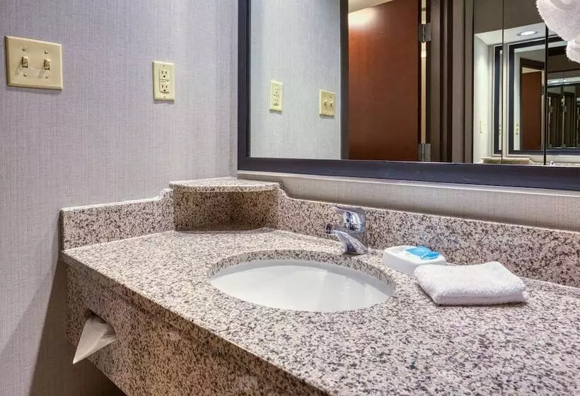اتاق دلوکس مخصوص معلولین, Drury Inn & Suites St. Louis Airport