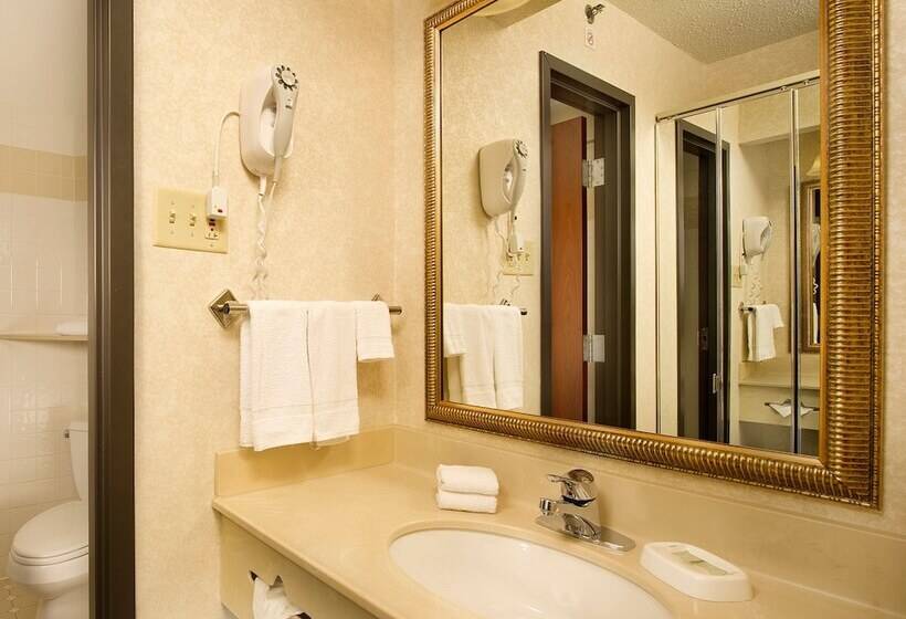 غرفة ديلوكس لذوى الاحتياجات الخاصة, Drury Inn & Suites St. Louis Airport