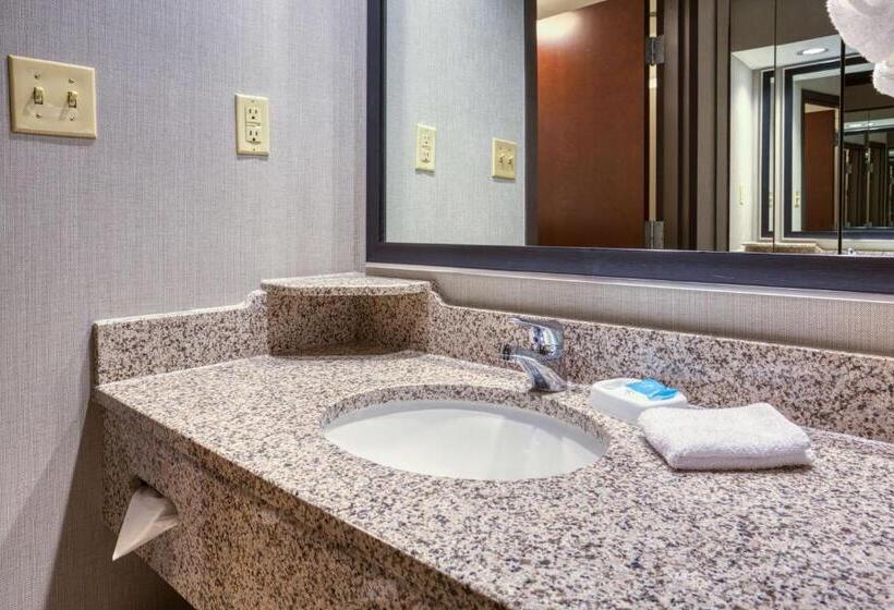 Номер Deluxe Кровать Кинг, Drury Inn & Suites St. Louis Airport