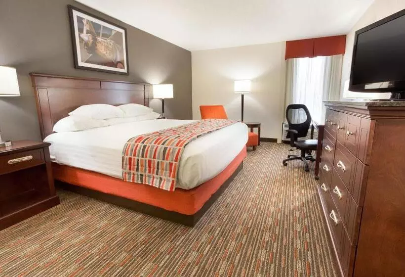 اتاق لوکس با تخت بزرگ, Drury Inn & Suites St. Louis Airport