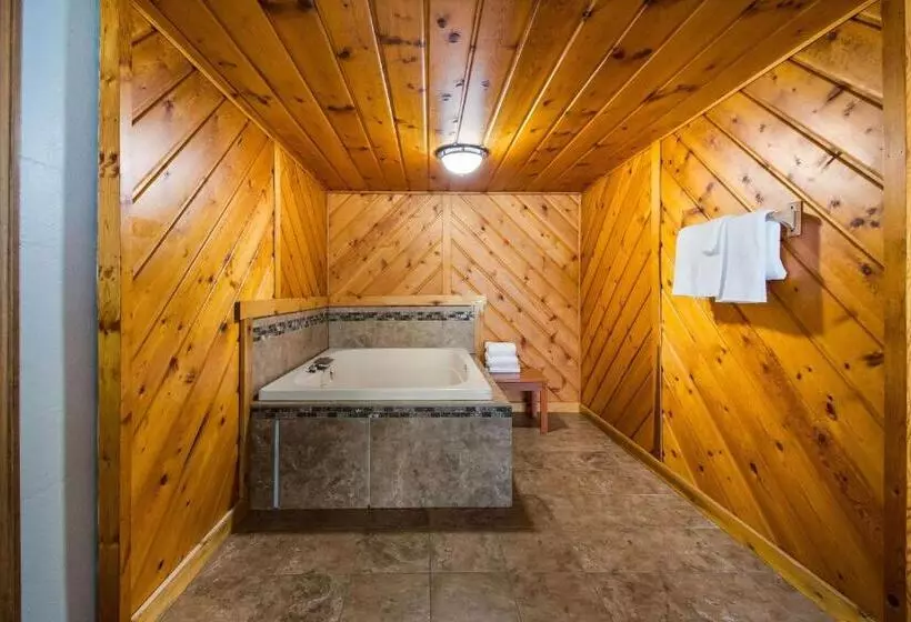 Deluxe Suite King Bed, Econo Lodge Duluth Near Miller Hill Mall