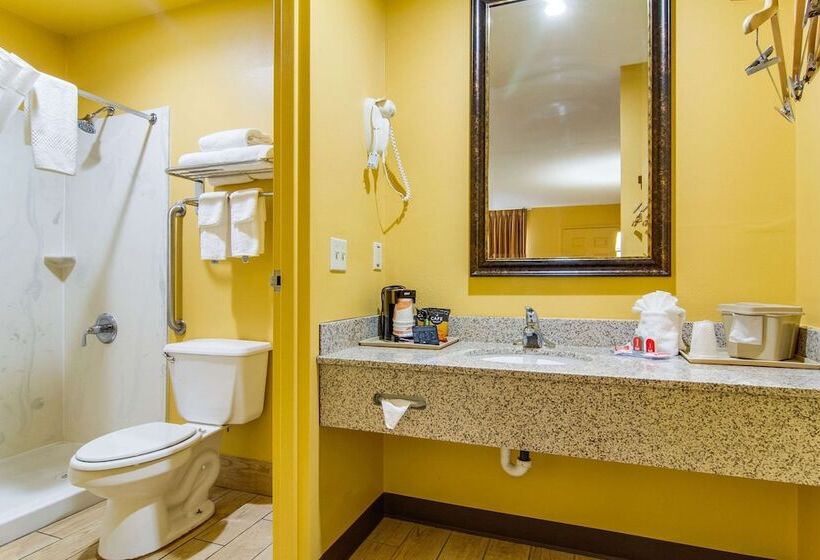 غرفه قياسيه سريرين مزدوجين, Econo Lodge