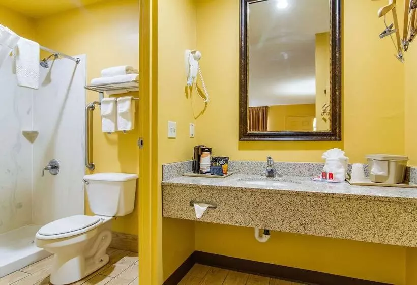 ２ダブルベッドのスタンダードルーム, Econo Lodge