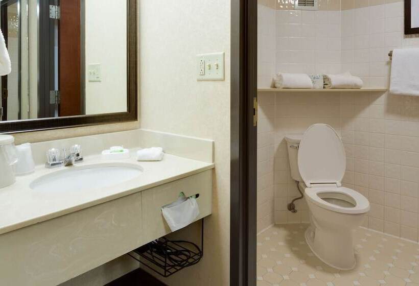 장애인용 디럭스룸, Pear Tree Inn Sikeston