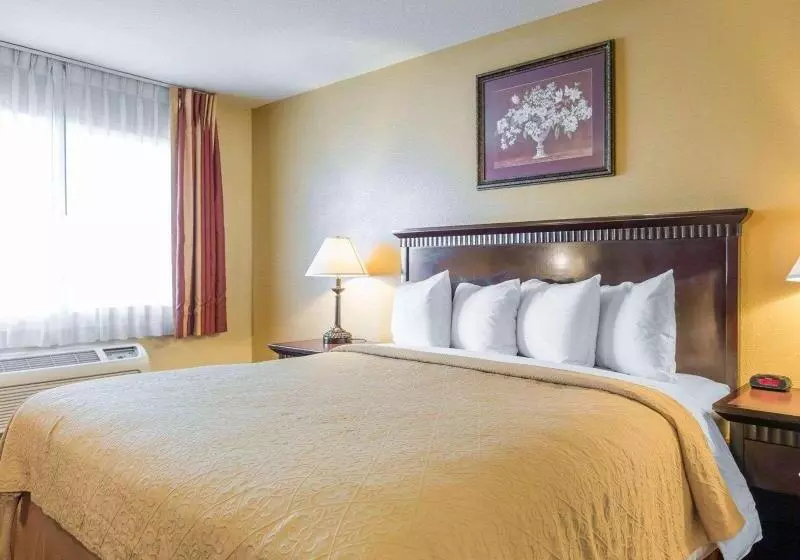 اتاق استاندارد با تخت بزرگ, Quality Inn
