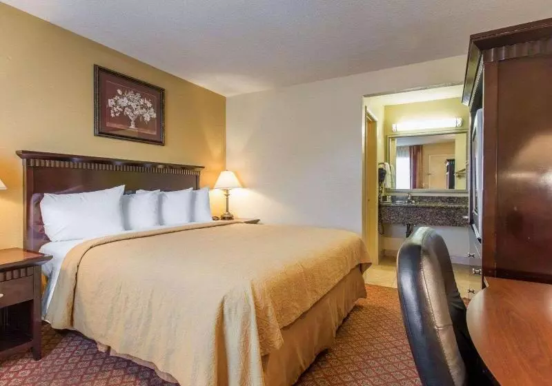 اتاق استاندارد با تخت بزرگ, Quality Inn