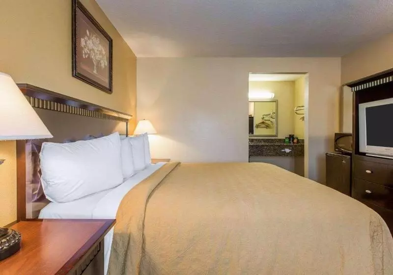 اتاق استاندارد با تخت بزرگ, Quality Inn