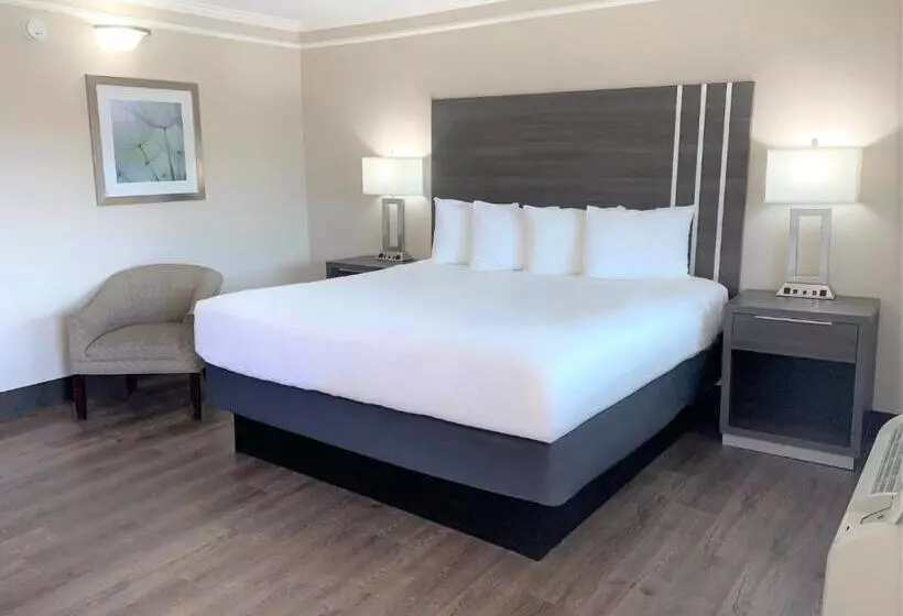 اتاق استاندارد با تخت بزرگ, Summerfield Inn Fresno Yosemite