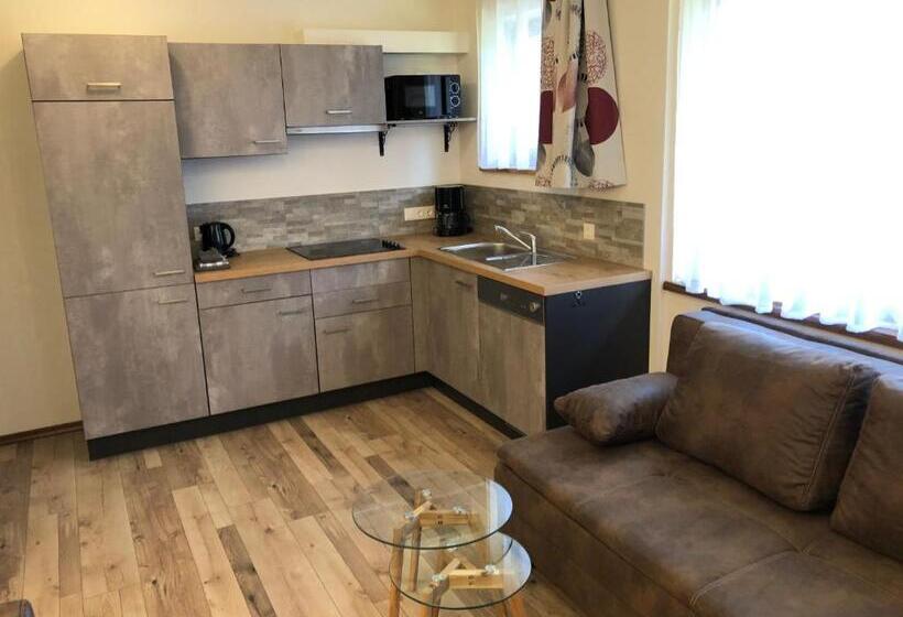 带1个卧室的公寓, Haus Marjanne