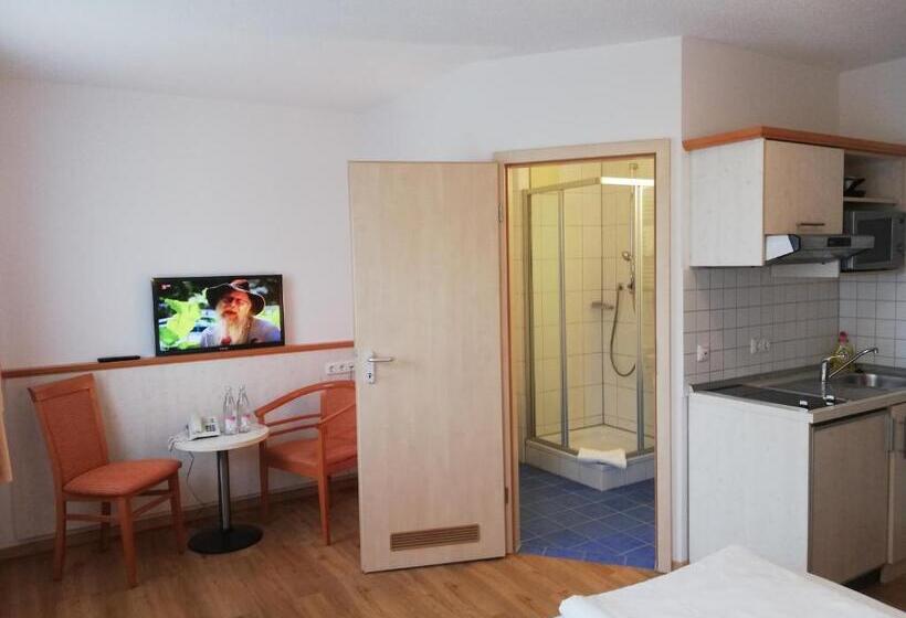 شقة غرفة واحدة, Mikro Apartments Erding