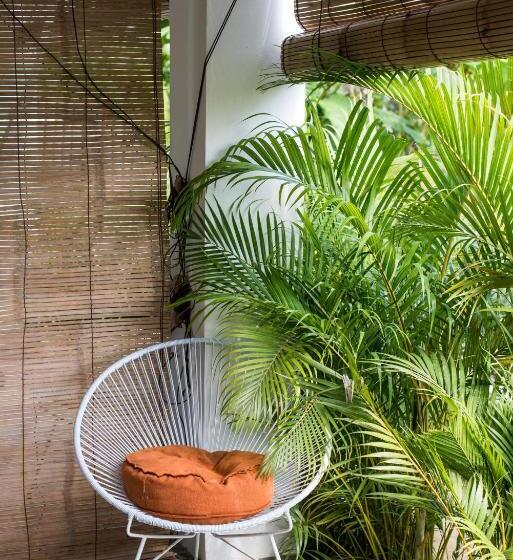 스탠다드 룸, Lucero