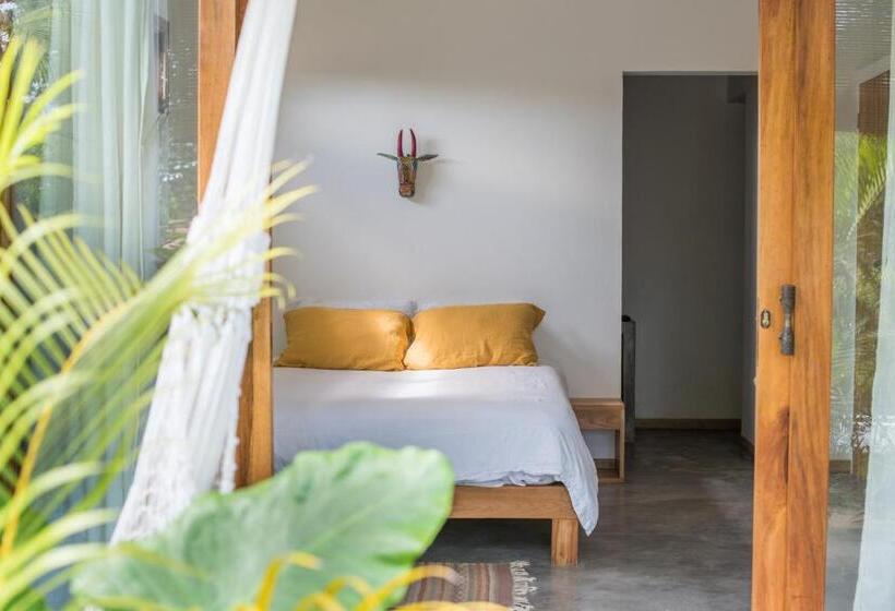 스탠다드 룸, Lucero