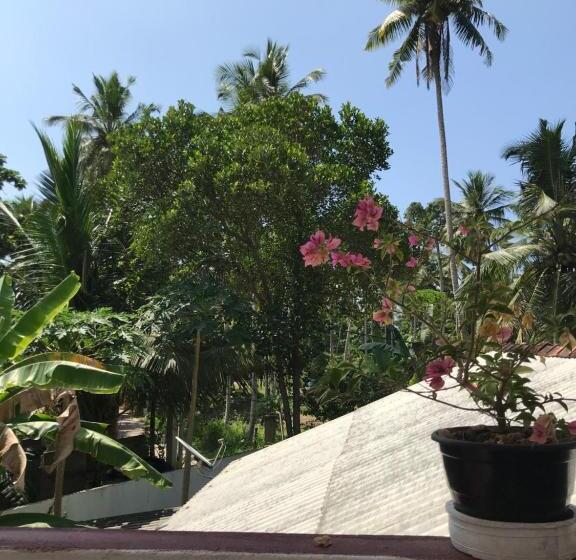 经济房, Jungle Villa