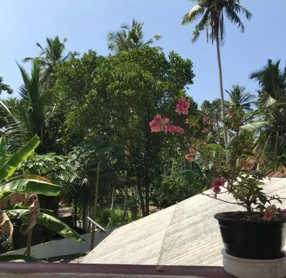 Economy-huone, Jungle Villa
