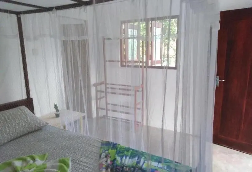 Economy-huone, Jungle Villa