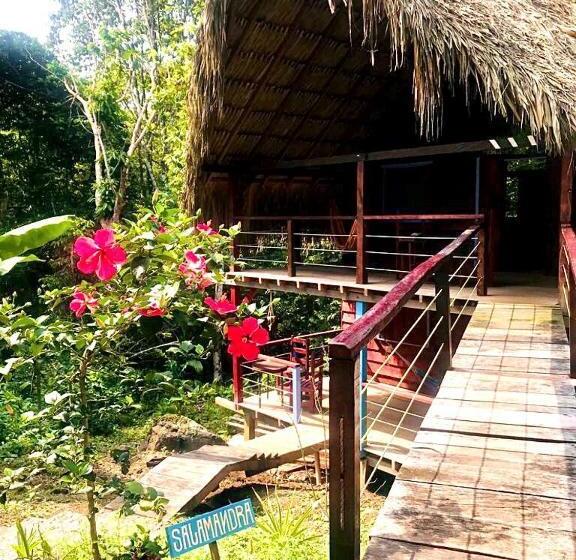 Номер Стандарт, Hostal Doble Vista