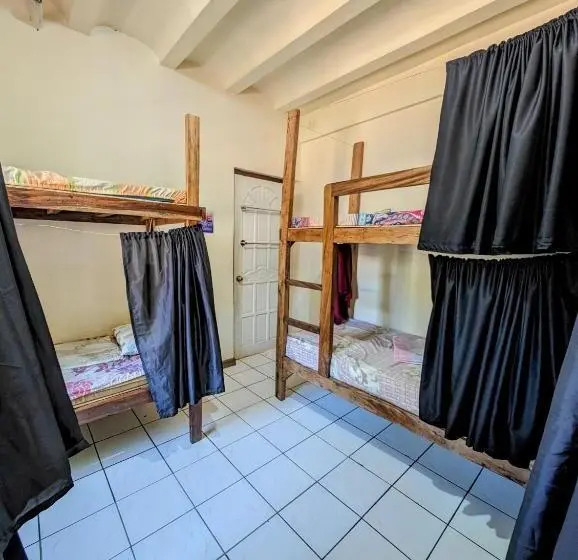 Vuode Makuusalissa, Screaming Gecko Hostel