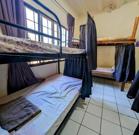 تختخواب در اتاق مشترک, Screaming Gecko Hostel