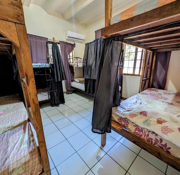 공동 객실, Screaming Gecko Hostel