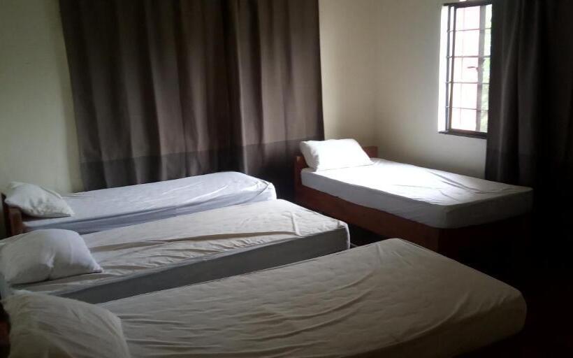 اتاق لوکس چهار تخته, Screaming Gecko Hostel