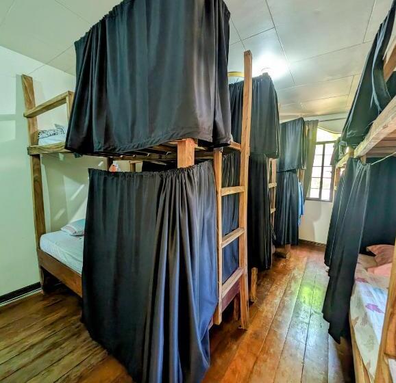 اتاق لوکس خانوادگی, Screaming Gecko Hostel