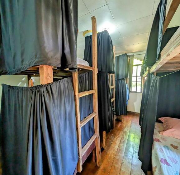 디럭스 패밀리 룸, Screaming Gecko Hostel