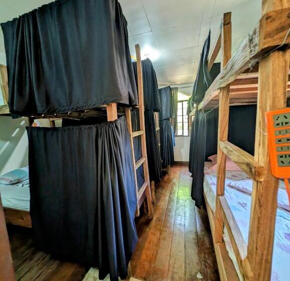 اتاق لوکس خانوادگی, Screaming Gecko Hostel