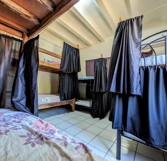 تختخواب در اتاق مشترک, Screaming Gecko Hostel