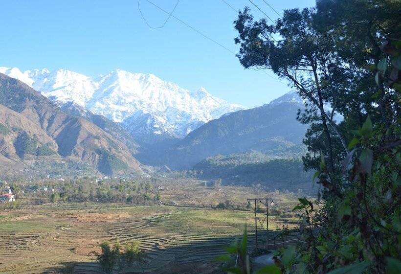 اتاق لوکس, Royal Green Buds