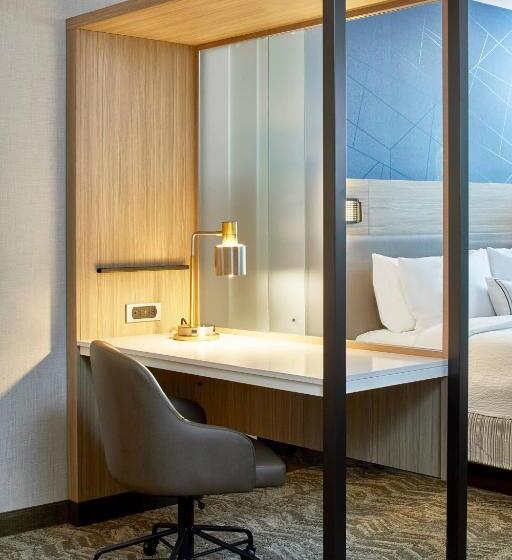 سوئیت با تخت بزرگ, Springhill Suites Charlotte At Carowinds
