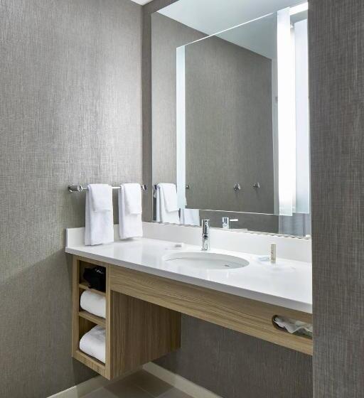 سوییت, Springhill Suites Charlotte At Carowinds