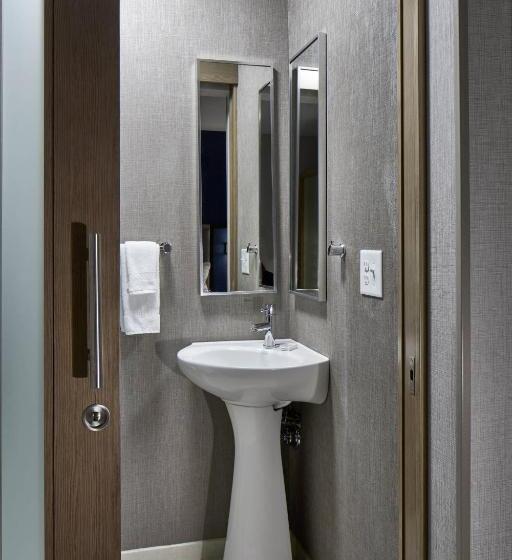 سوییت, Springhill Suites Charlotte At Carowinds