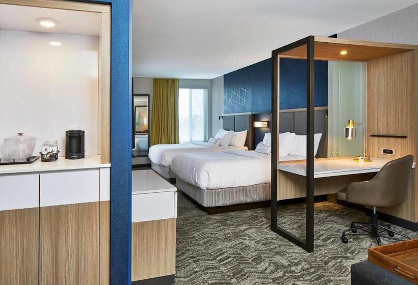 سوییت, Springhill Suites Charlotte At Carowinds