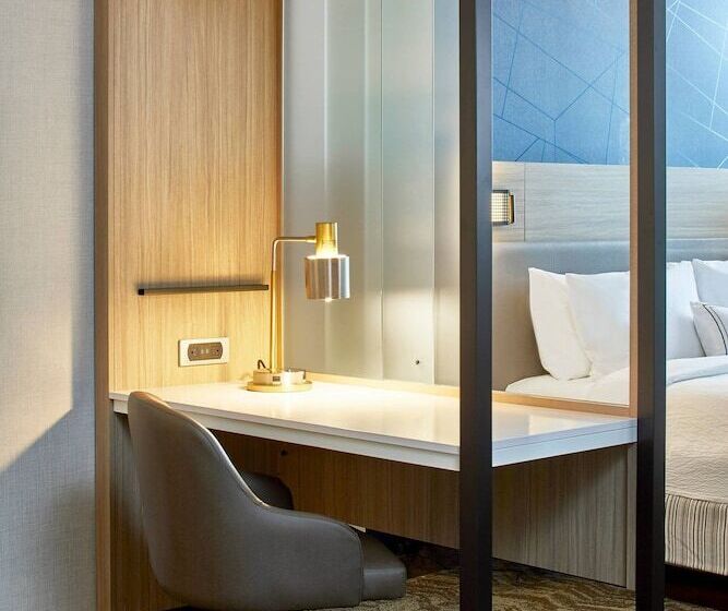 سوییت, Springhill Suites Charlotte At Carowinds