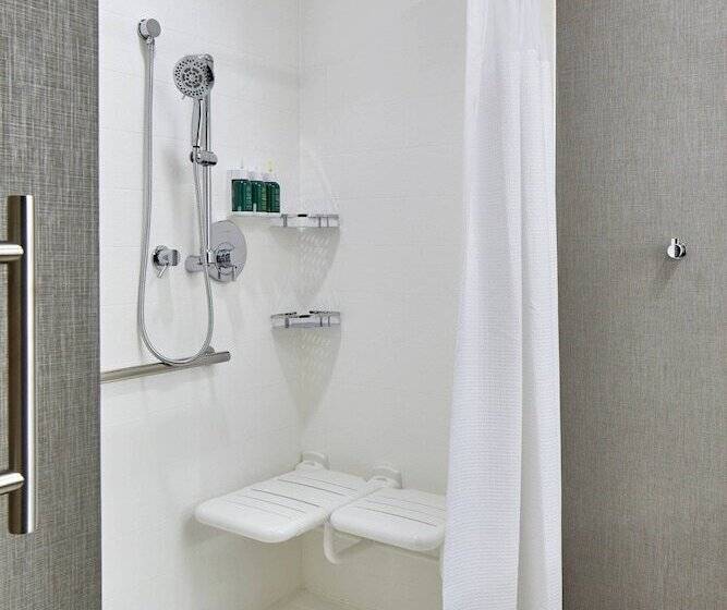 سوییت, Springhill Suites Charlotte At Carowinds