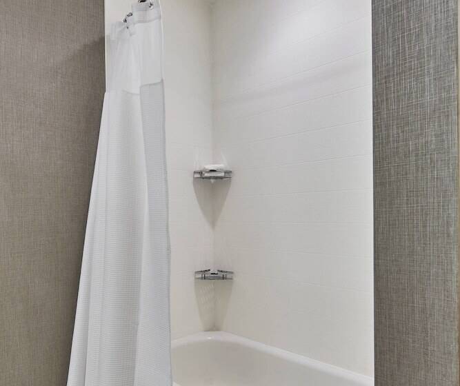 سوییت, Springhill Suites Charlotte At Carowinds