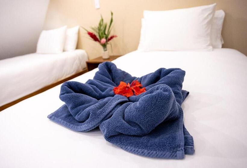带大床的标准间, Aves Hotel Montezuma