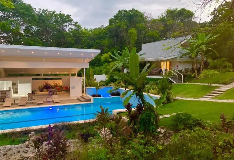 اتاق استاندارد با تخت بزرگ, Aves Hotel Montezuma