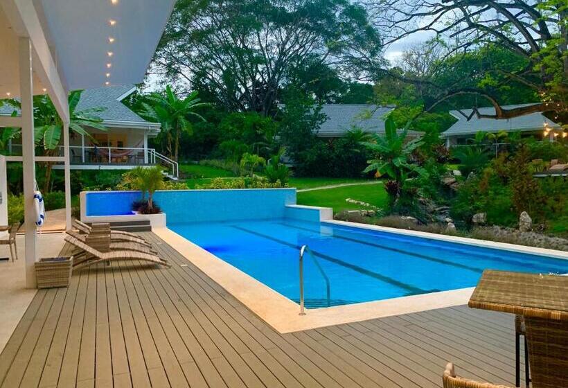 اتاق استاندارد با تخت بزرگ, Aves Hotel Montezuma