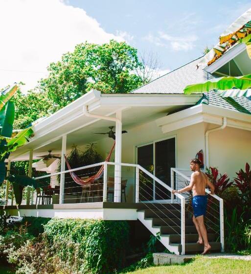 اتاق استاندارد با تخت بزرگ, Aves Hotel Montezuma