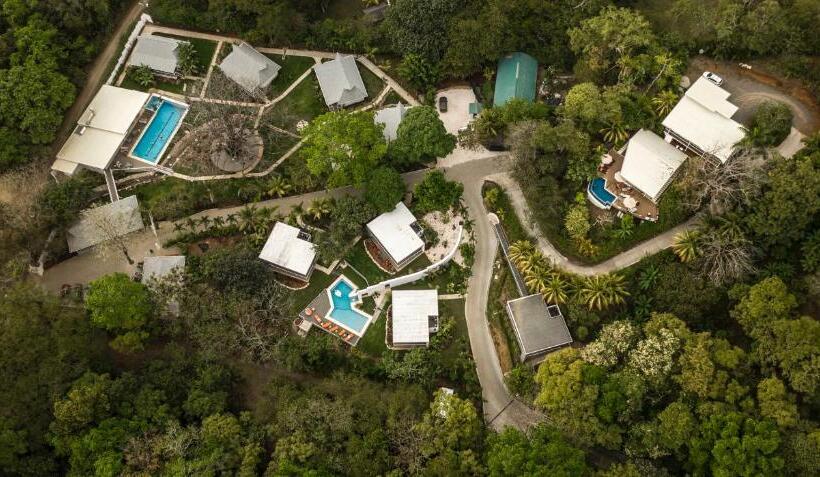 اتاق استاندارد با تخت بزرگ, Aves Hotel Montezuma