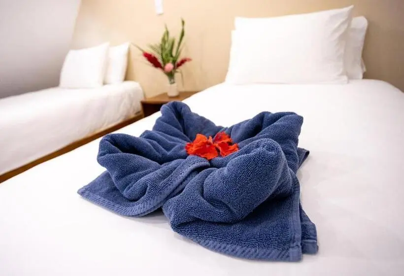 اتاق لوکس چهار تخته, Aves Hotel Montezuma