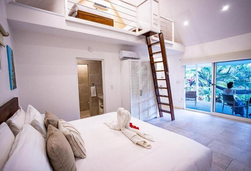 اتاق لوکس چهار تخته, Aves Hotel Montezuma